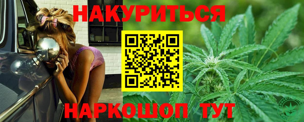 Шишки марихуана планчик  Бошки марихуана Ganja  Кашира  Вход с VPN  Марихуана индика  Бошки Шишки MAZAR 